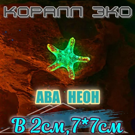 Звезда мини неон