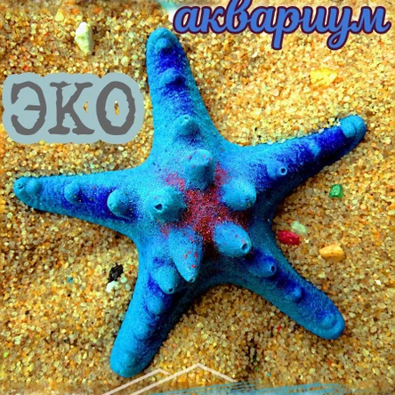 Звезда Острая мини