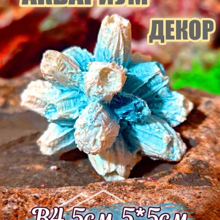 Коралл Балянус мини