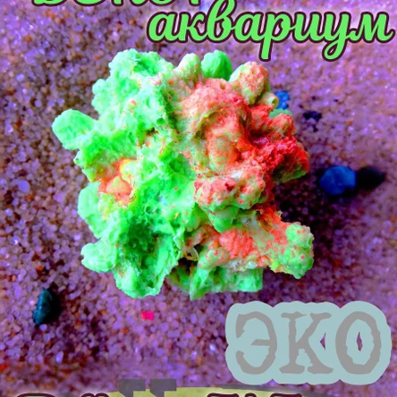 Коралл Капля