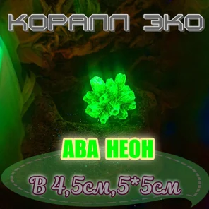 Коралл Балянус мини неон