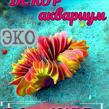 Коралл Гармошка