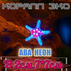 Звезда мини неон