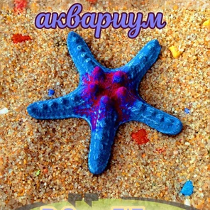 Звезда мини