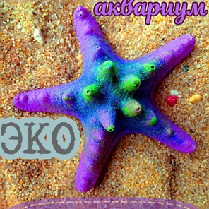 Звезда Острая мини