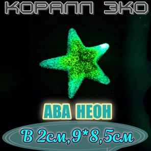 Звезда Морская неон