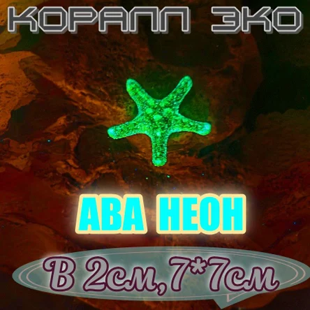 Звезда мини неон