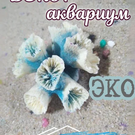 Коралл Лавулар