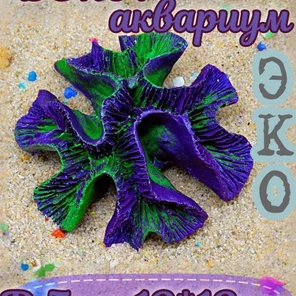 Коралл Симфиллия