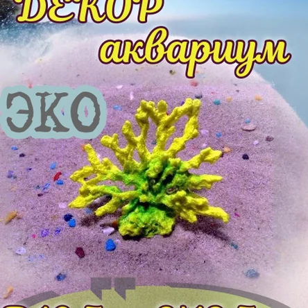 Коралл Веер ветви