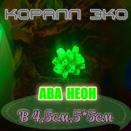 Коралл Балянус мини неон
