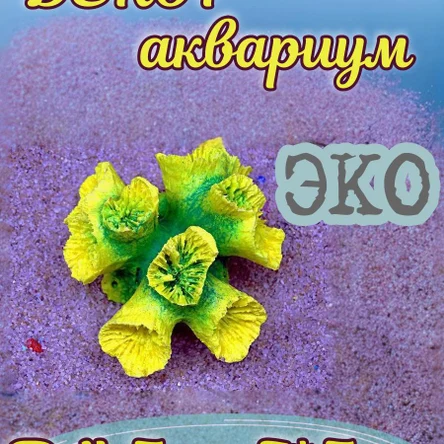 Коралл Лавулар