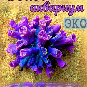 Коралл Клавулар