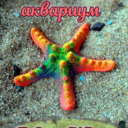 Звезда Мини