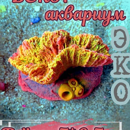 Коралл Остеопора