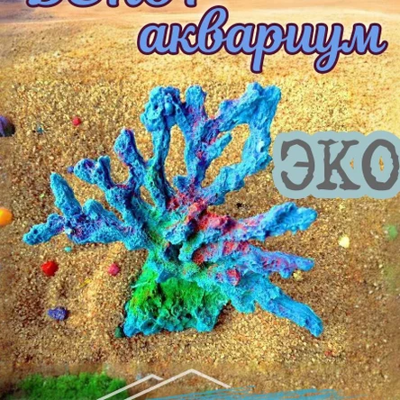 Коралл Веер ветви