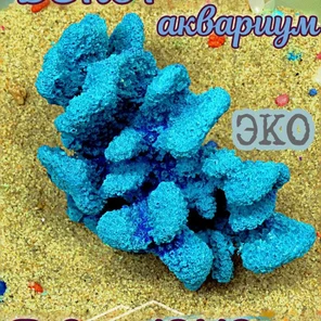 Коралл Портис