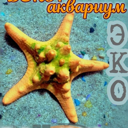 Звезда Острая