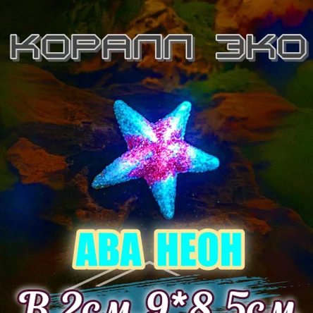 Звезда Морская неон