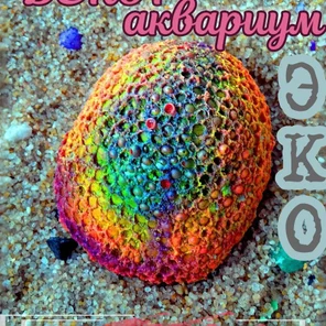 Коралл Мозговик