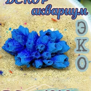 Коралл Балянус