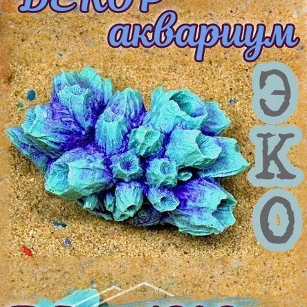 Коралл Балянус