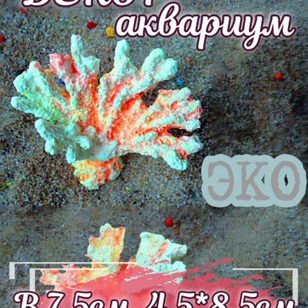 Коралл Веер мини