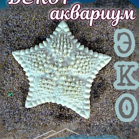 Звезда Печенька